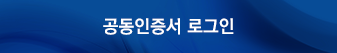 공동인증서 로그인